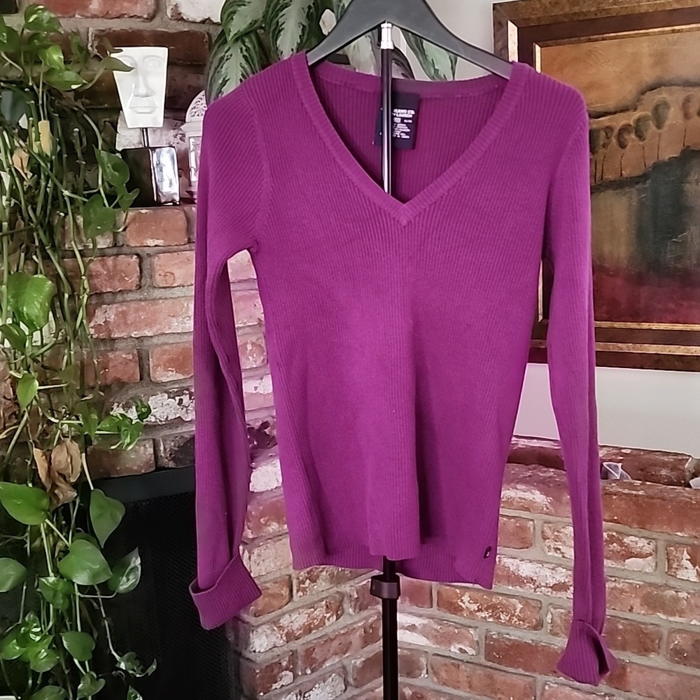 Polo by Ralph Lauren Vintage V-Neck Purple Sweater